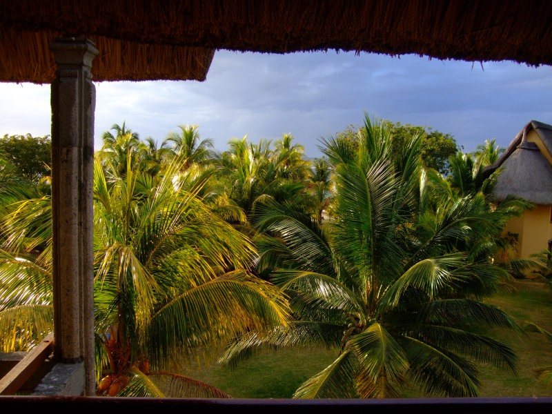 Mauritius 2010 - 0090 